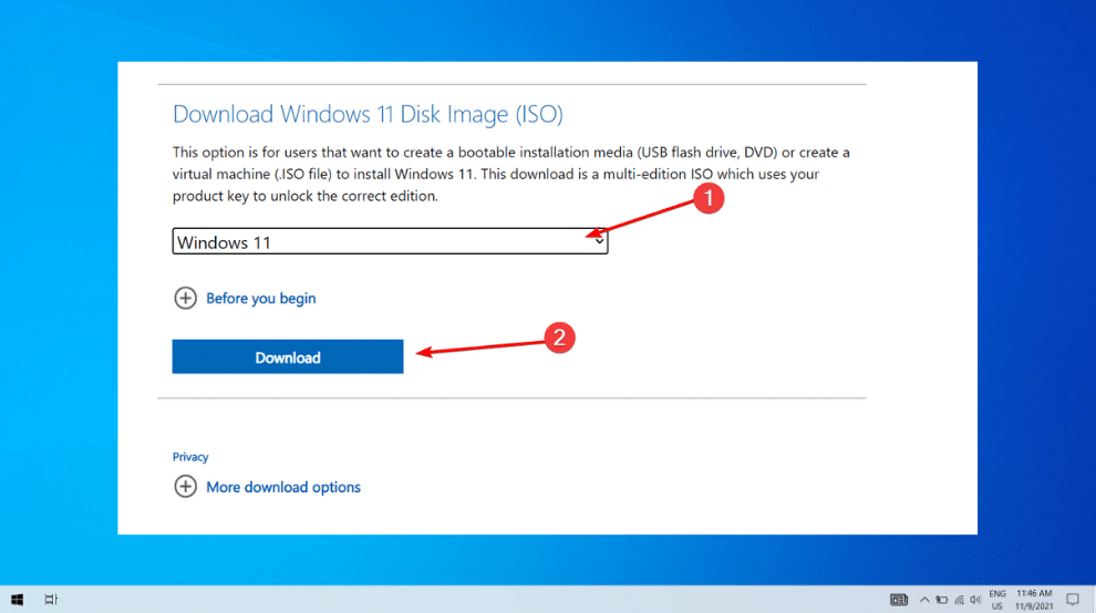 descargar la opción de aplicaciones iso de windows 11 trampa de acceso a datos no válidos windows 11
