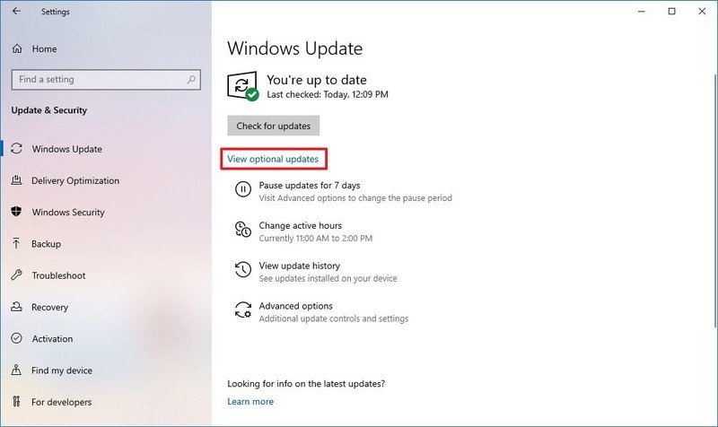 Opción de actualizaciones opcionales de Windows 10 para controladores