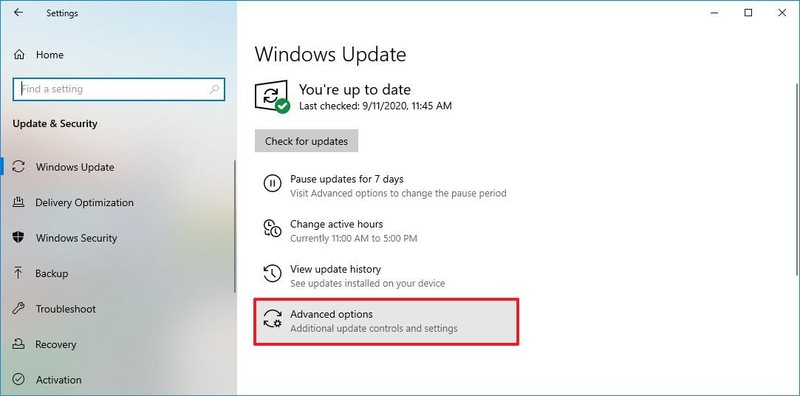 Opciones avanzadas de Windows Update