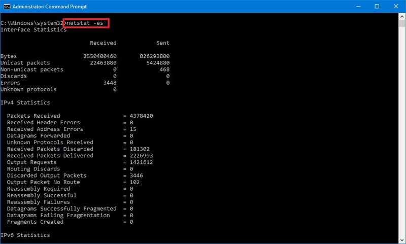 Netstat -es 