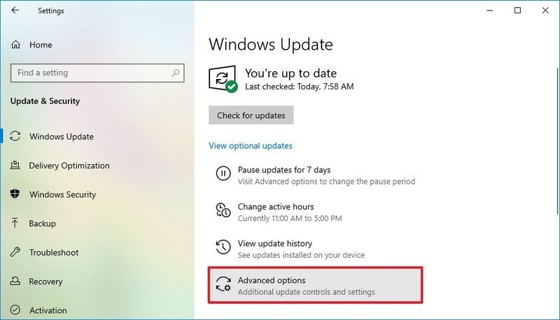 Opciones avanzadas de Windows Update