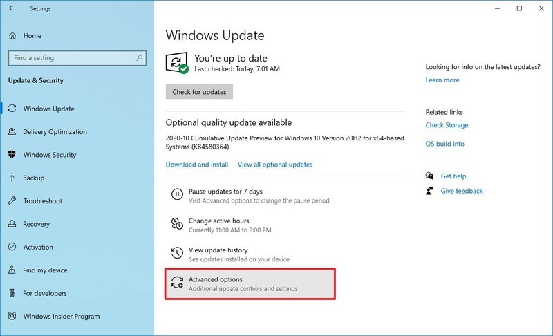 Actualización de Windows con opciones avanzadas seleccionadas