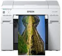 Impresora Epson SureLab D870 Controlador Epson SureLab D870