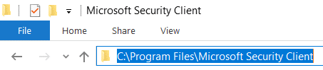 Navegue a la carpeta Microsoft Security Client en Archivos de programa