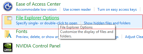 haga clic en Opciones del Explorador de archivos desde Apariencia y personalización en el Panel de control