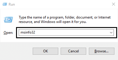 Escriba msinfo32 y presione el botón Intro