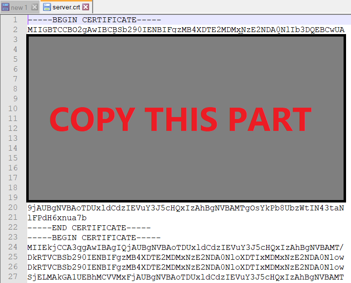 Abra el archivo .crt (Certificado de seguridad) y copie solo la primera parte de este Certificado