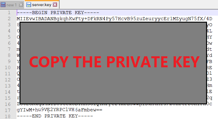 Abra el archivo server.key con el bloc de notas y copie su contenido
