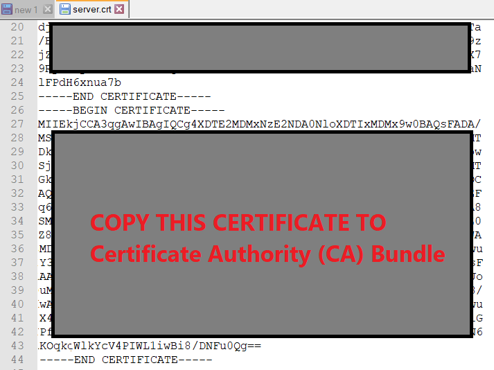 Copie la segunda parte del Certificado del archivo .crt (Certificado de Seguridad)