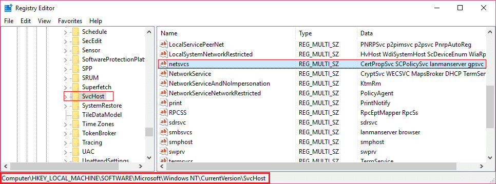 En SvcHost, busque netsvcs y luego haga doble clic en él